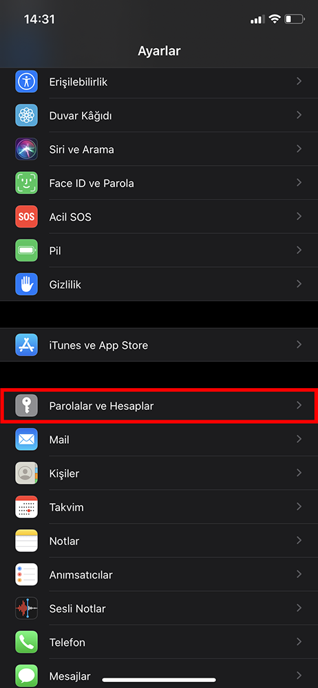 iPhone Parolalar ve Hesaplar